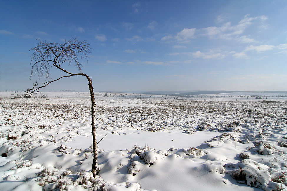 Überall nur Strenge und Stille, soweit das Auge reicht, Ereignislosigkeit . . .