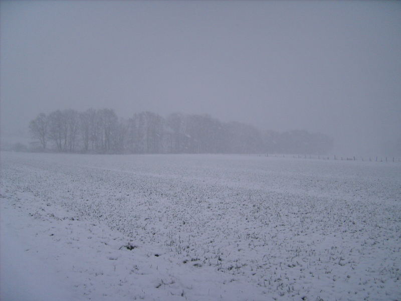 überall schnee!!