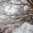 Überall Schneeflocken