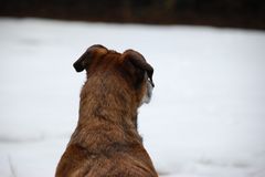 Überall Schnee....wann wird´s mal wieder Sommer?