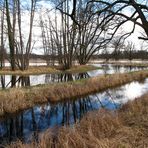 Überall steht im Naturschutzgebiet das Wasser