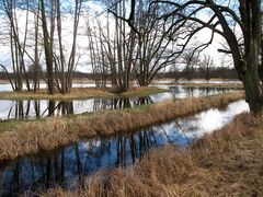 Überall steht im Naturschutzgebiet das Wasser