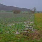 überall steht Wasser