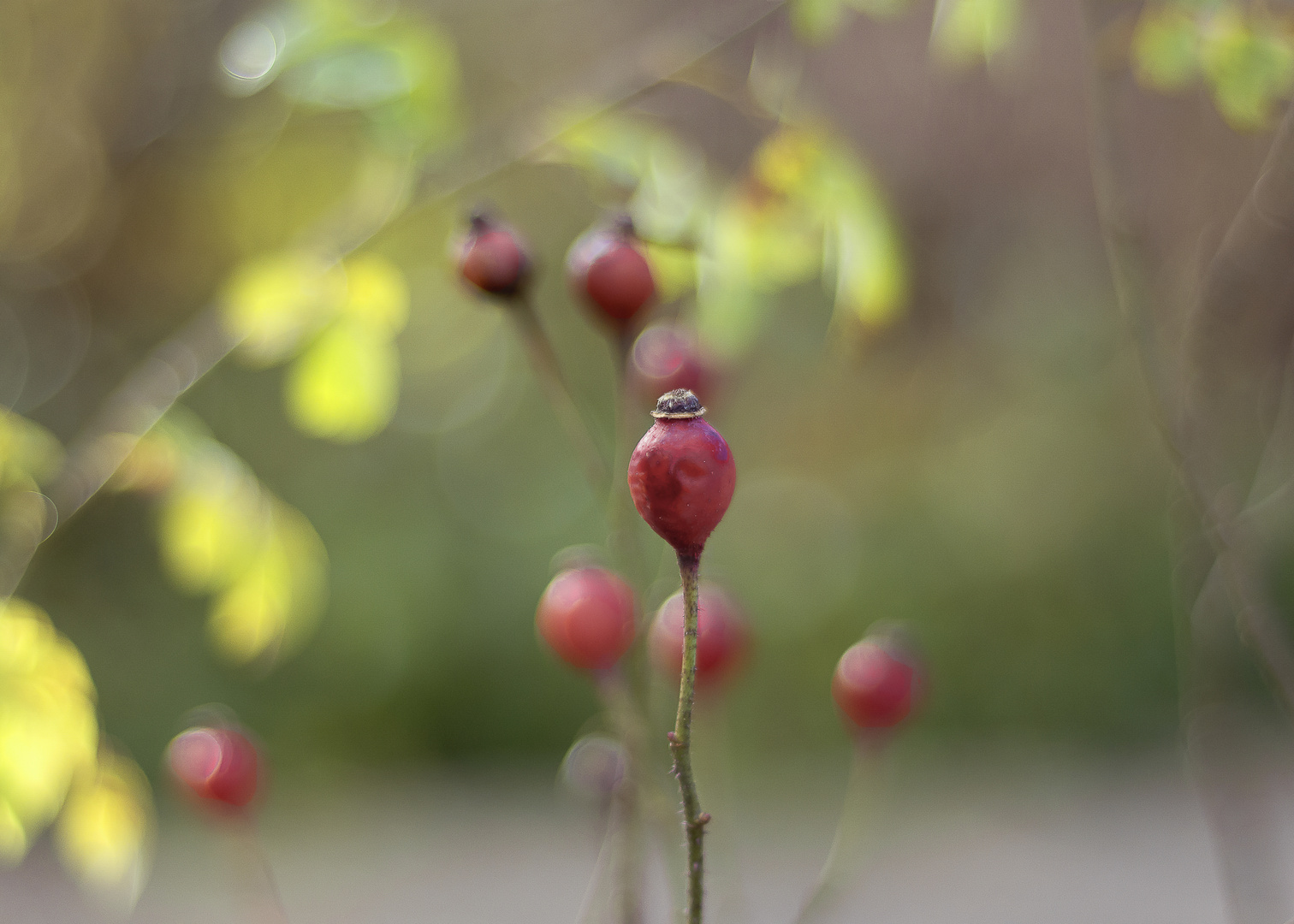 Überall zeigt der Herbst sein Gesicht