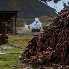 Überbleibsel der Walfänger auf Süd Georgien IV