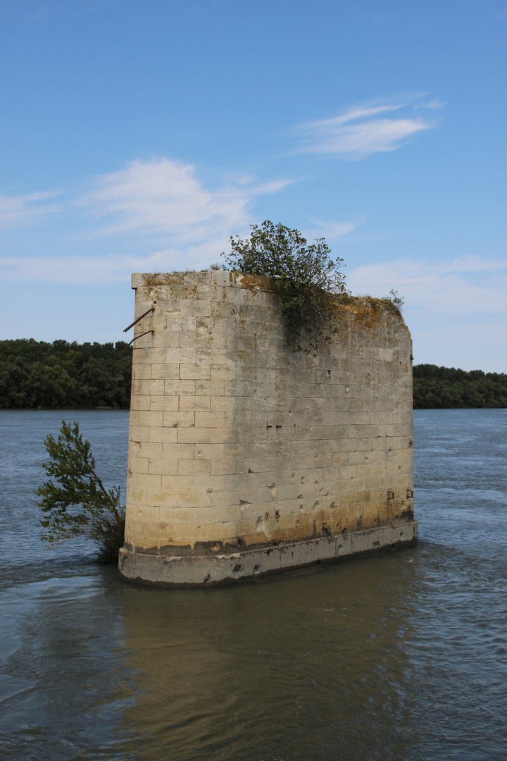 Überbleibsel einer Brücke auf der Rhone