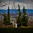 Überbleibsel einer lang zurück liegenden Gartenschau im Scharnhauser Park