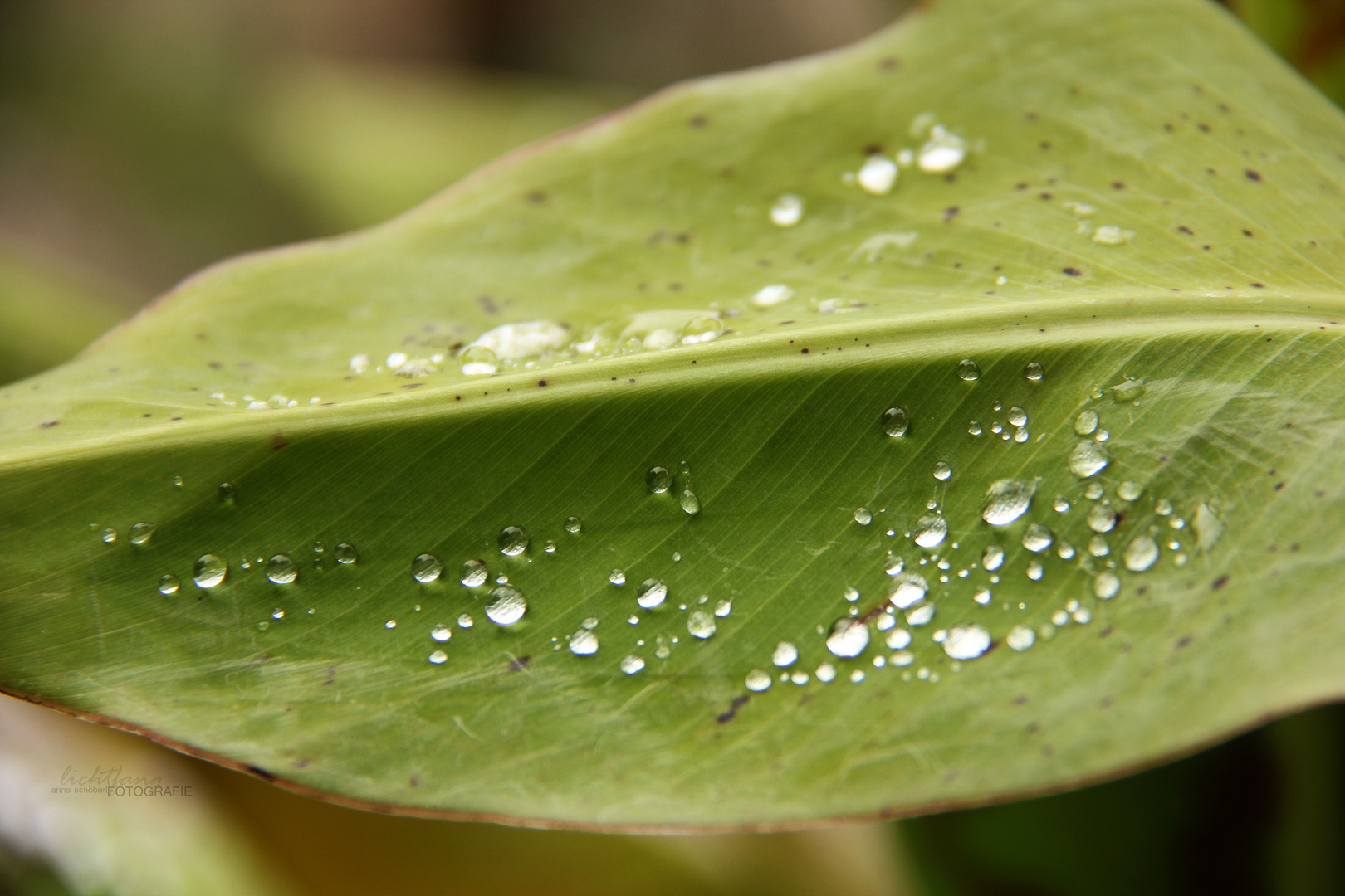 Überbleibsel eines Wetterphänomens