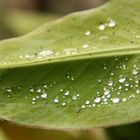 Überbleibsel eines Wetterphänomens