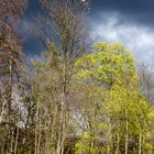 Überbleibsel vom letzten Herbst