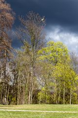 Überbleibsel vom letzten Herbst