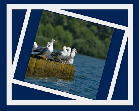 Überbleibsel vom Sommer