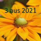 Überblick 2021