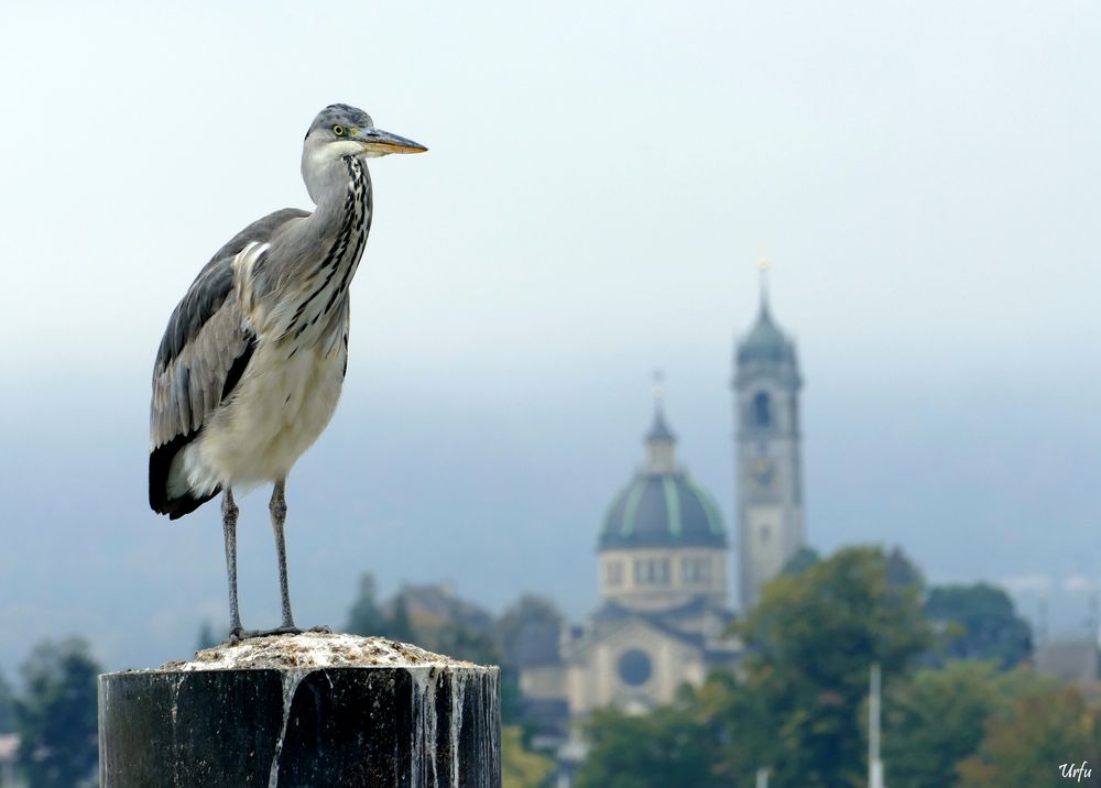 Überblick statt Durchblick (1834)