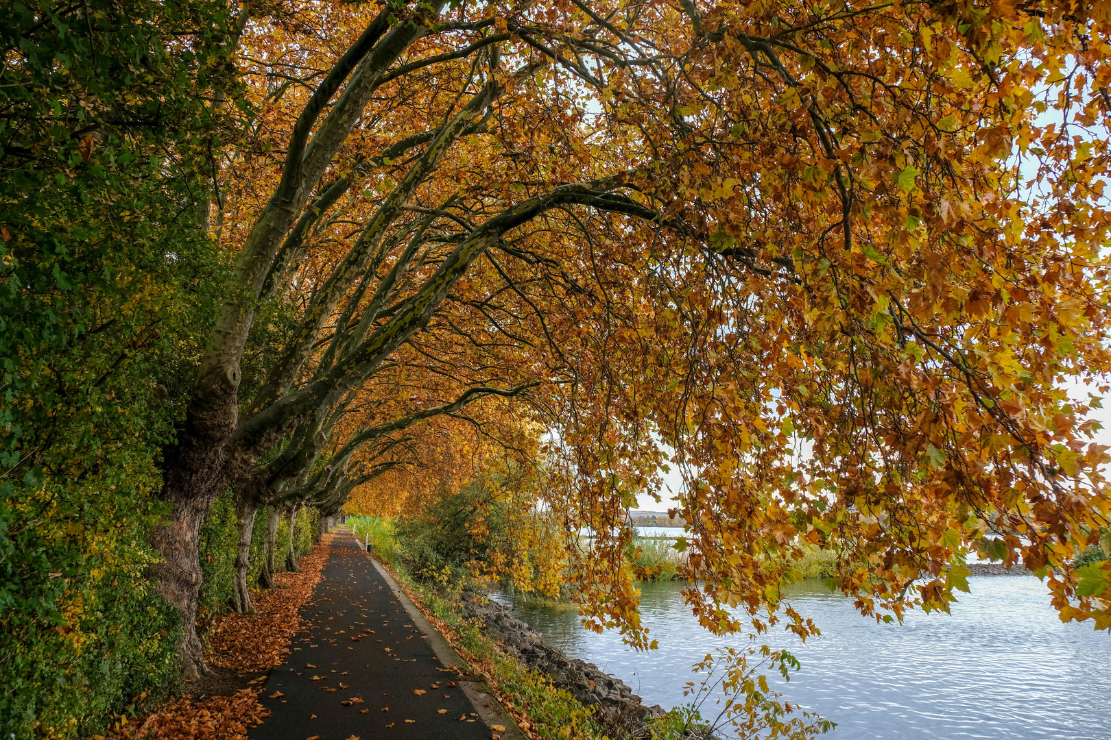 Überdacht im Herbst