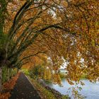 Überdacht im Herbst