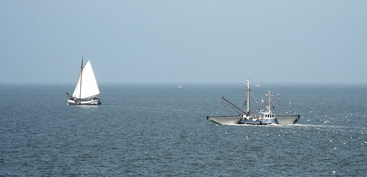 Überfahrt nach Ameland - August 2012