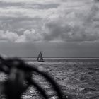 Überfahrt nach Helgoland Sommer 2014