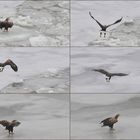 Überfahrt nach Hiddensee