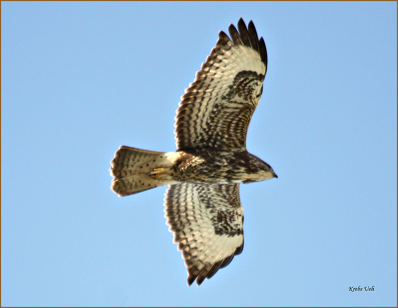 Ueberflieger...