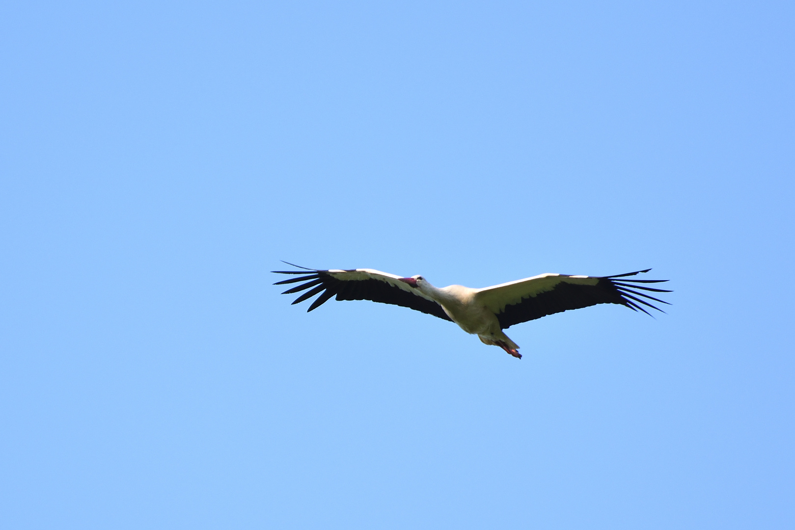 Überflieger