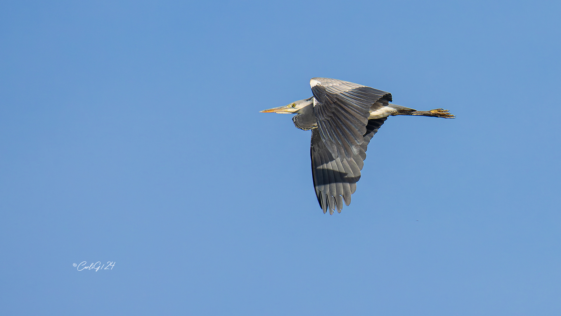 Überflieger 