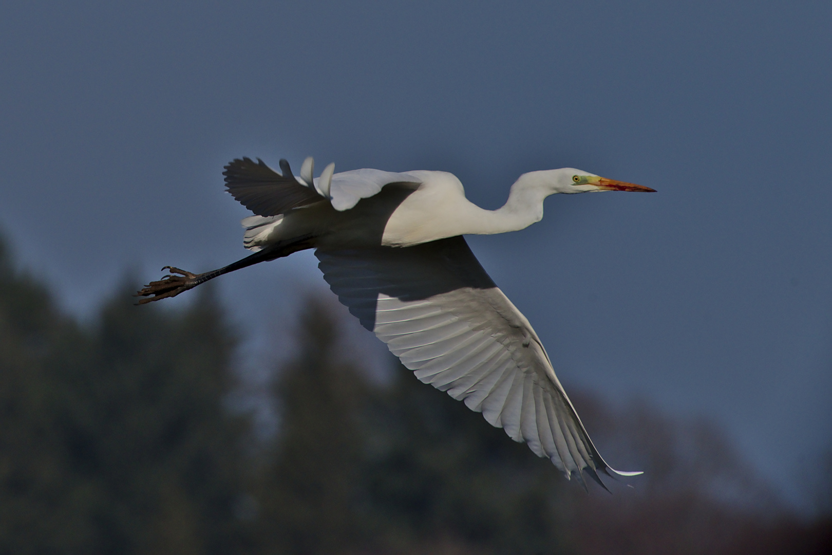 Überflieger