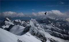 Überflieger