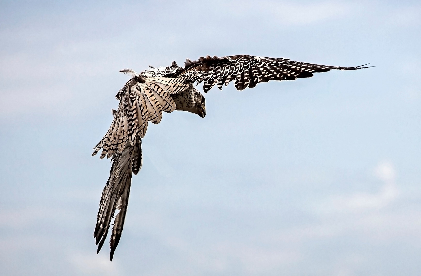 Überflieger