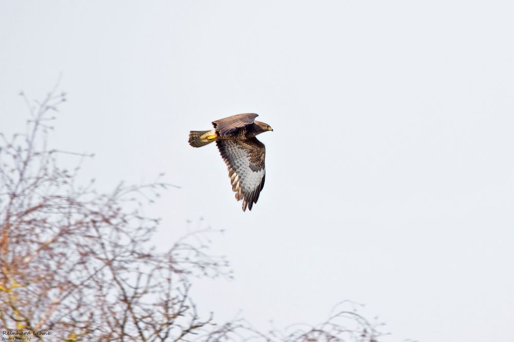  Überflieger