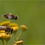 überflieger...