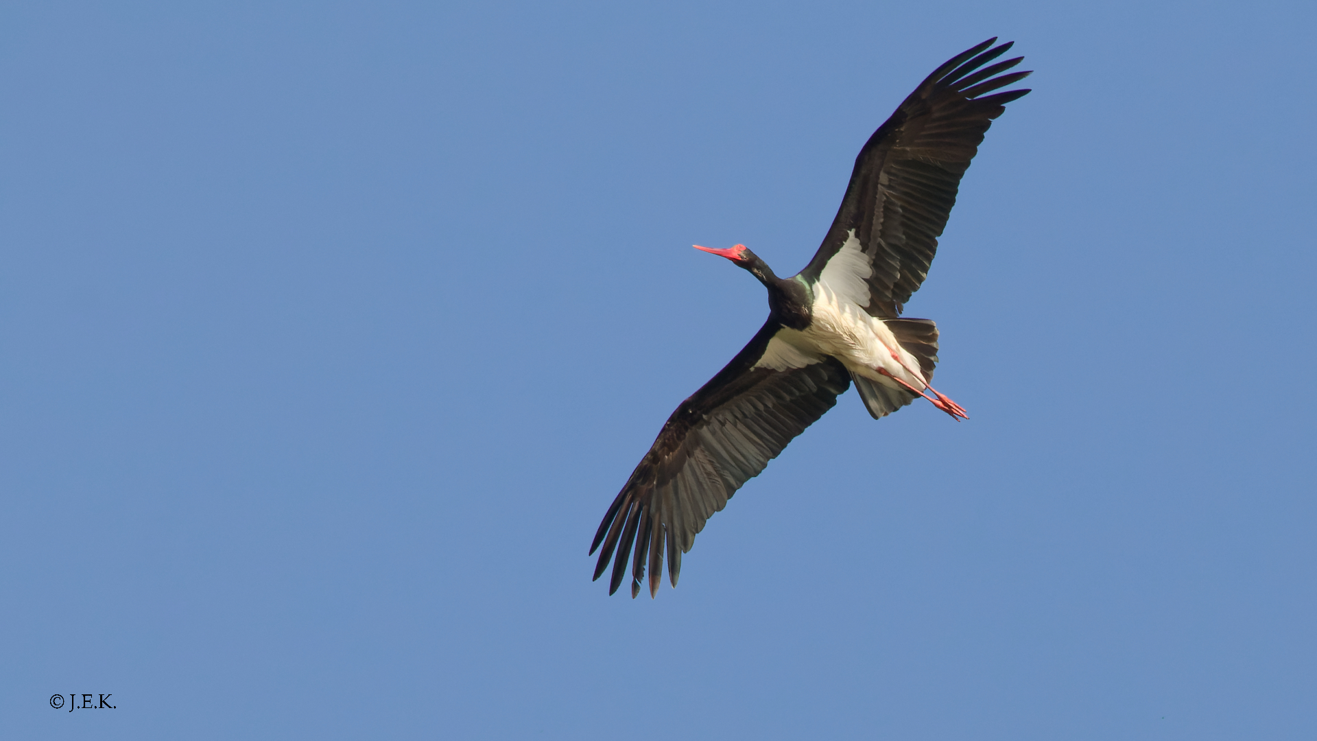 Überflieger