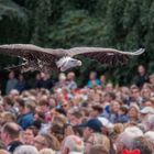 Überflieger