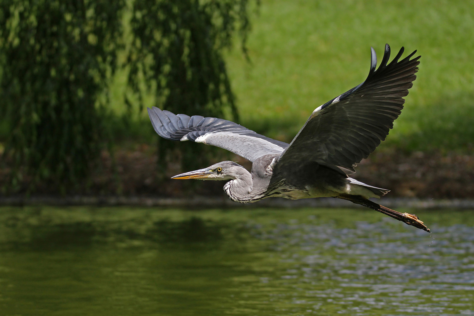 Überflieger