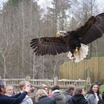 Überflieger!