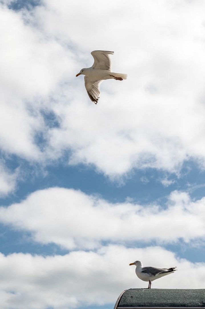 Überflieger