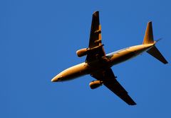 Überflieger in der Abendsonne