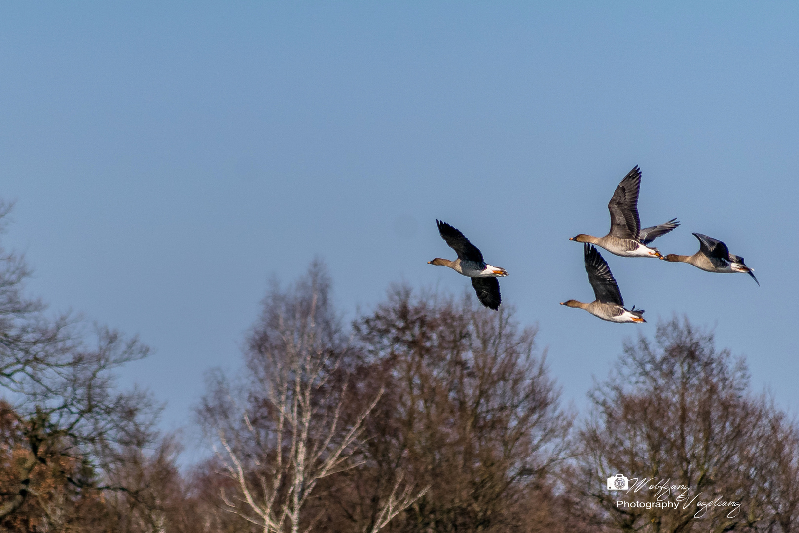 Überflug