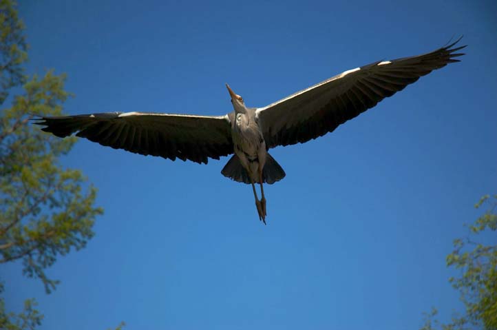 Überflug