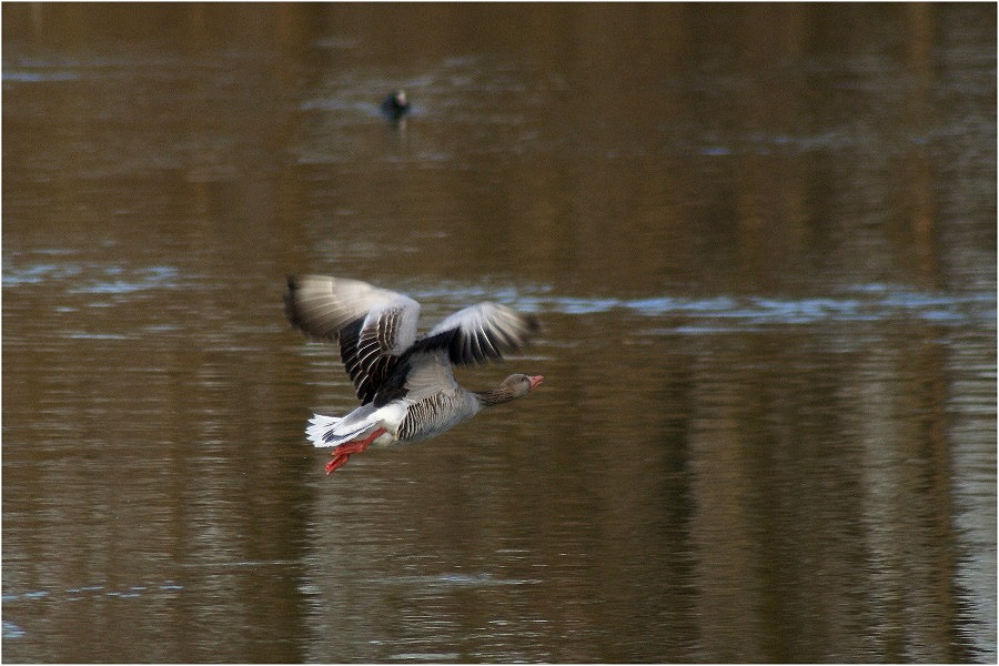 Überflug