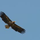 Überflug