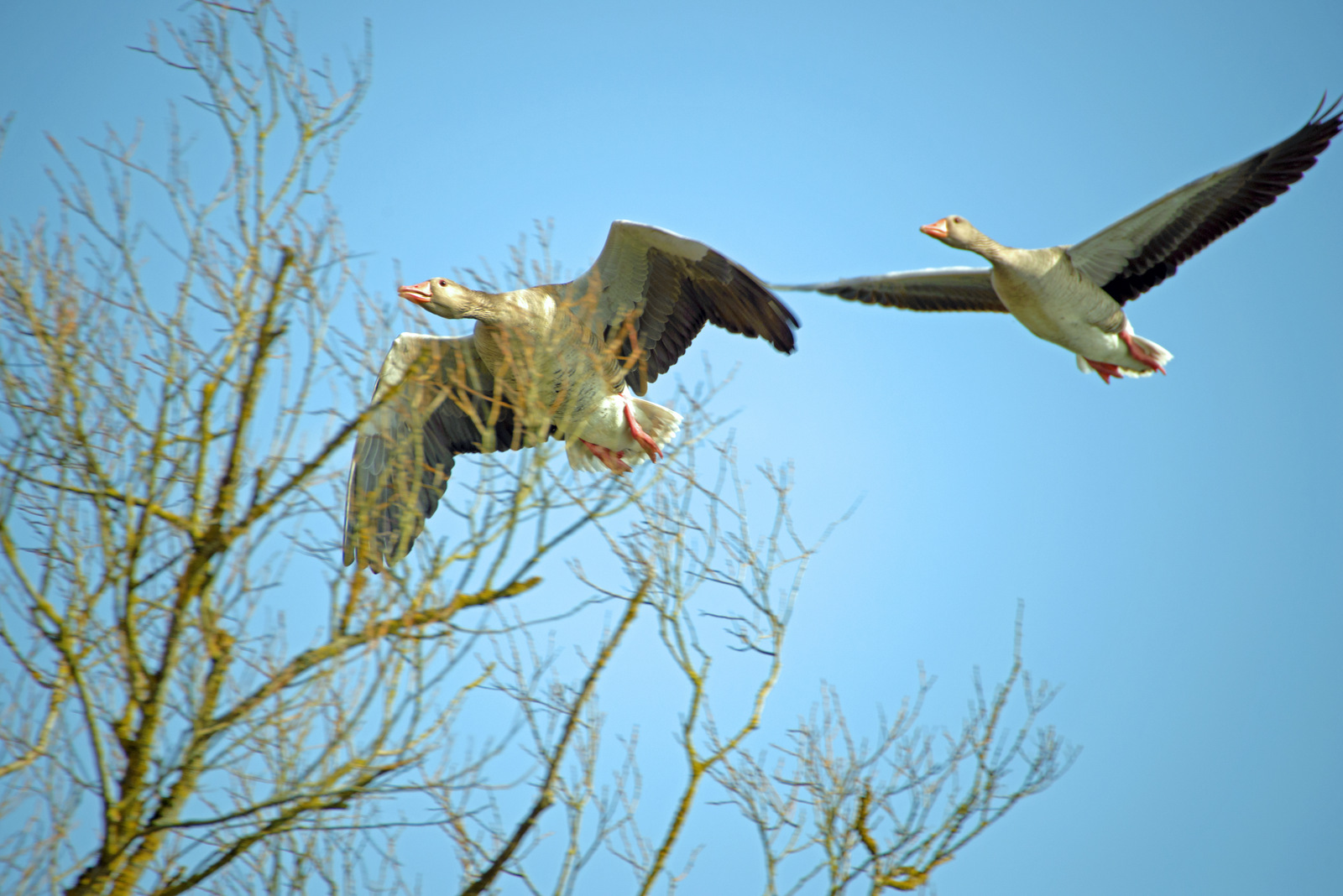 Überflug.