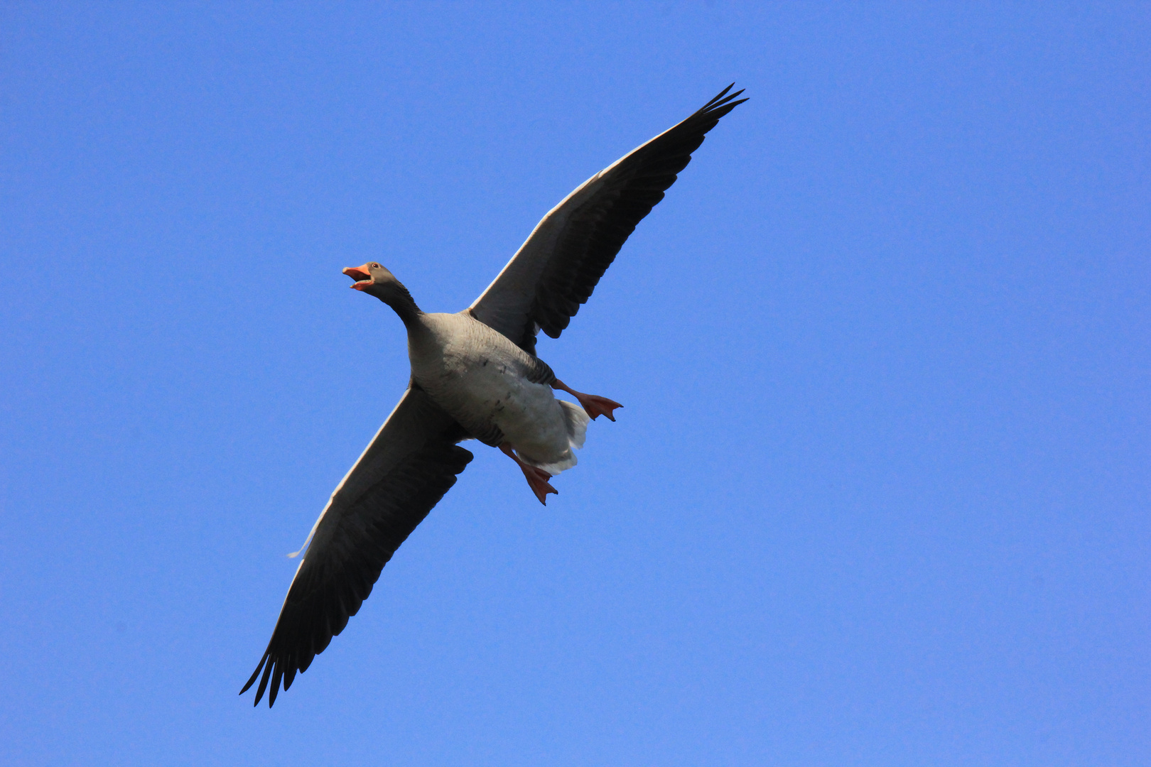 Überflug