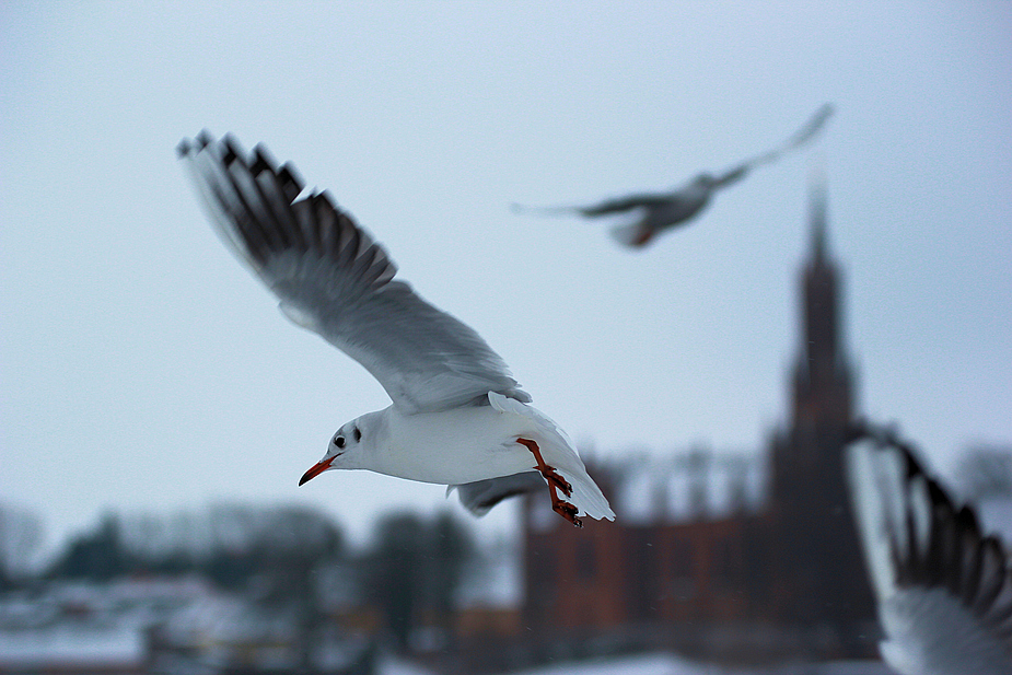 Überflug