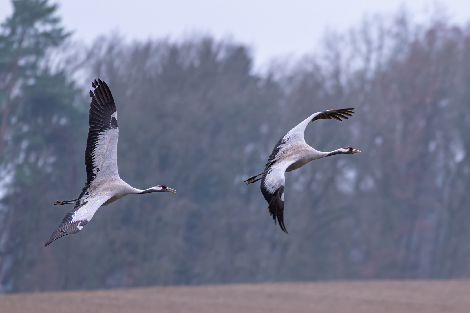 Überflug