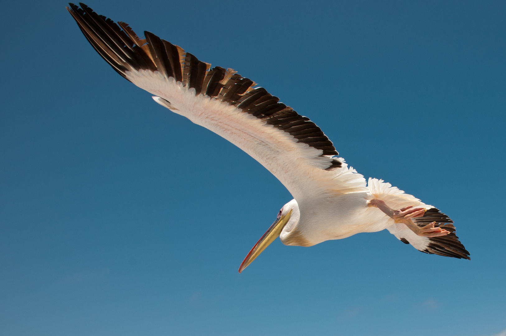 Überflug