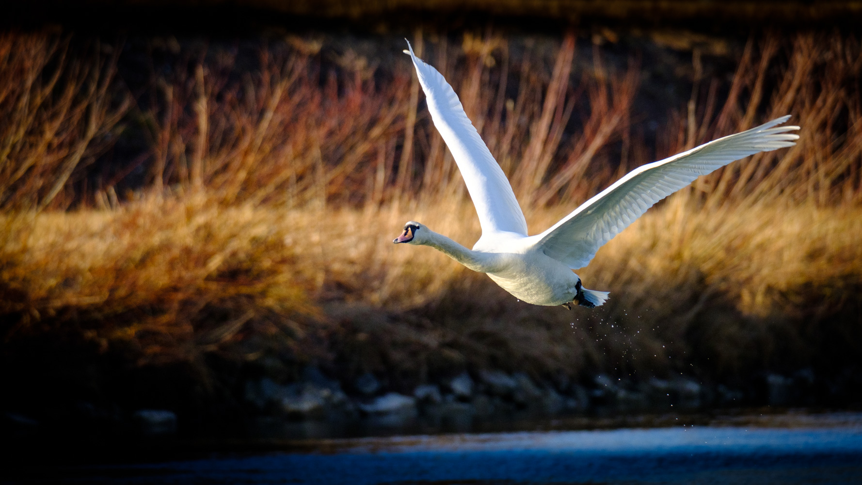 Überflug