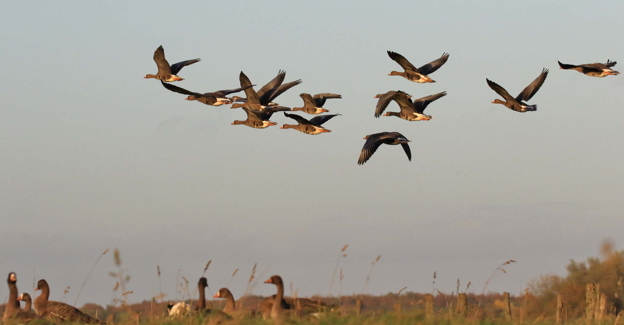 Überflug