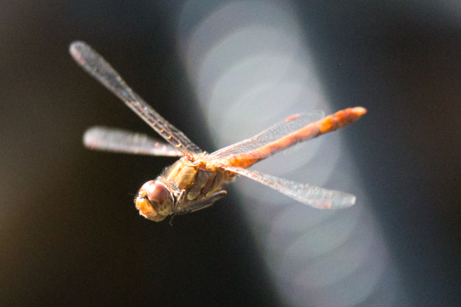 Überflug