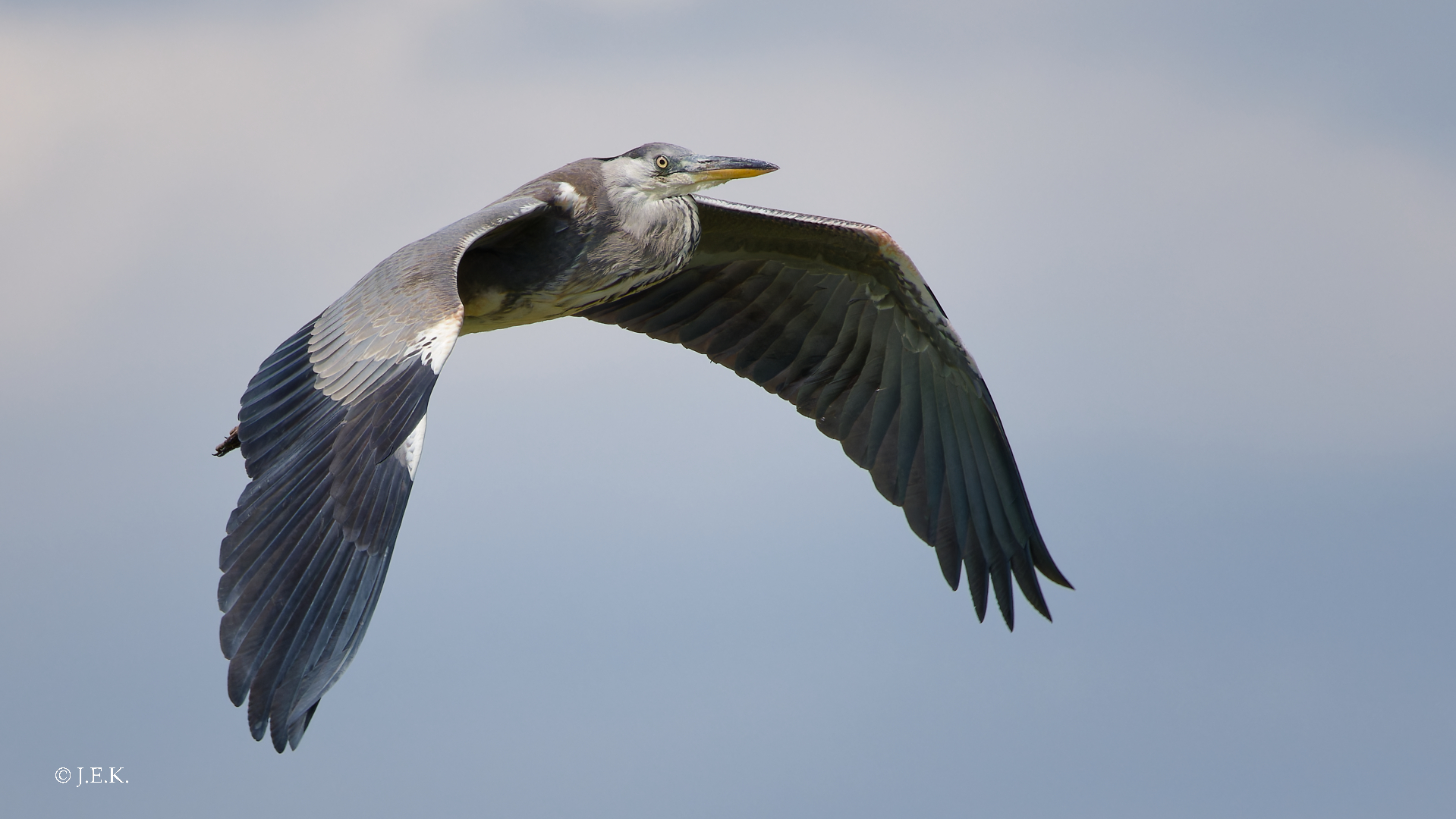 Überflug